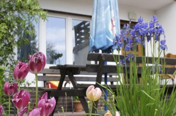 Pensjonacik Albatros Apartment Mikołajki Bagian luar foto
